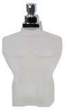 Pánský parfém (100 ml)