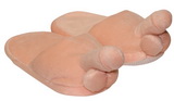 Penis bačkory