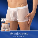 Průhledné boxerky