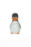 I Rub My Penguin