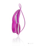 Bswish Bnaughty Deluxe violet silver