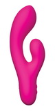 Swan The Whooper