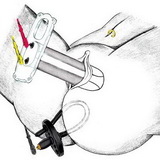 PES Elektrosex Sparkler
