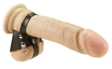 Postroj na penis